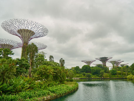Asya'nın New York'u: Singapur