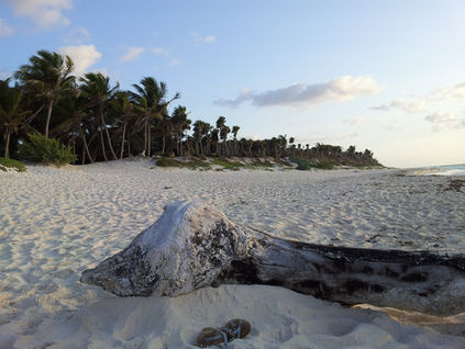 Tropik Cennet: Tulum