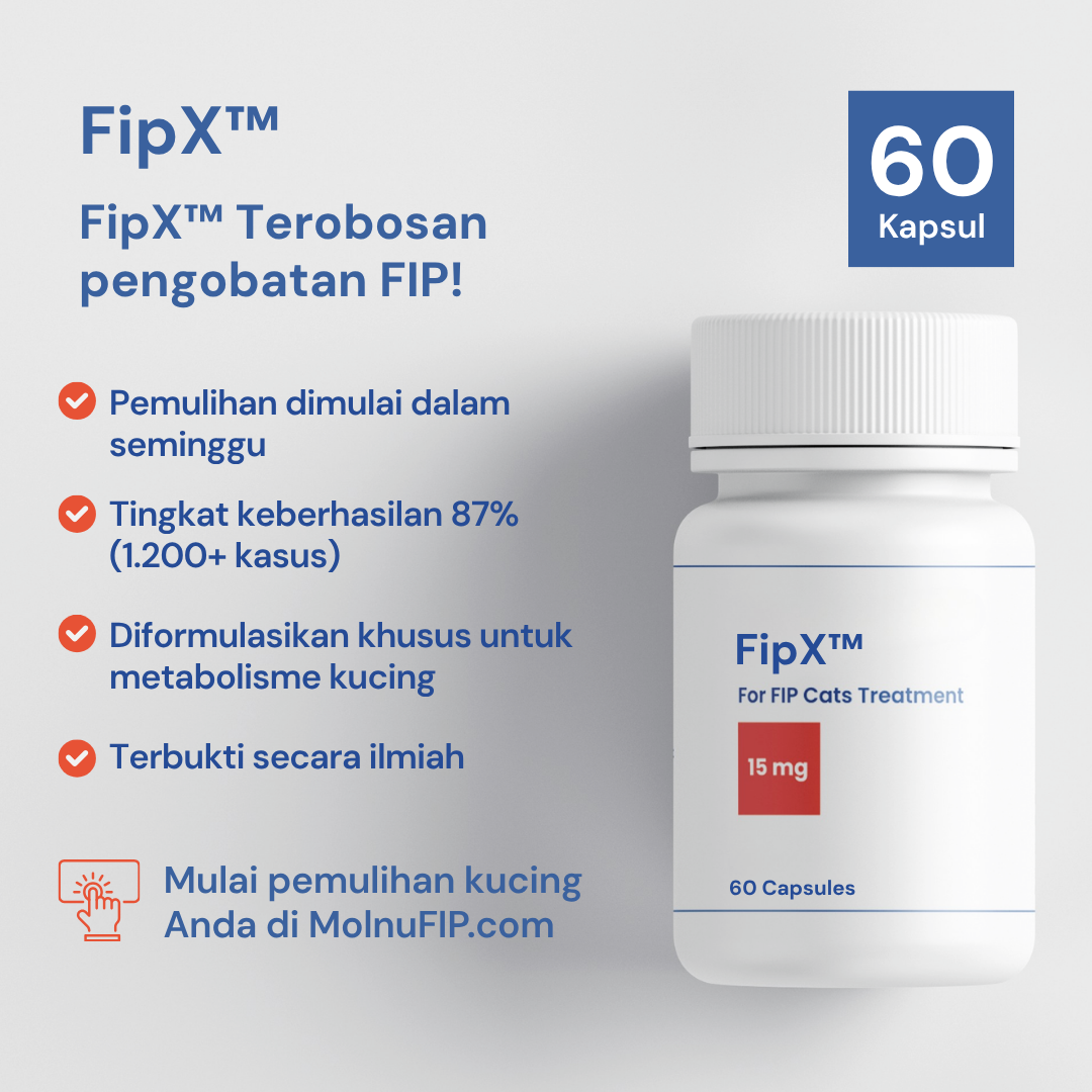 FipX™ 15mg kapsul oral untuk FIP Kucing