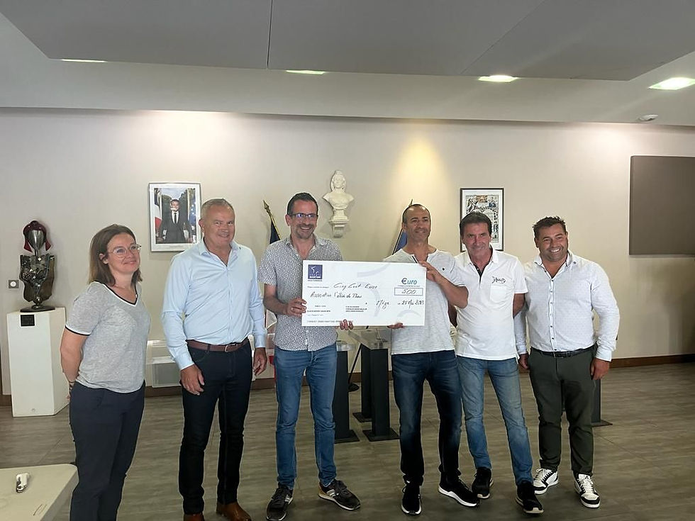 boules_ovales_cheque