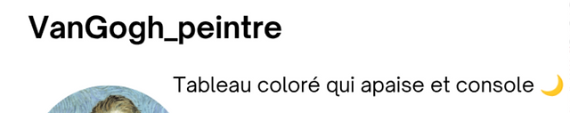Bio insta le nom de profil pour une artiste peintre et illustratrice
