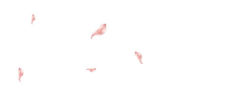 site internet photo (1055 x 593 px) (3).png