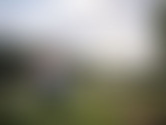 Faulkner's Ranch Engagement | Carina & Daniel