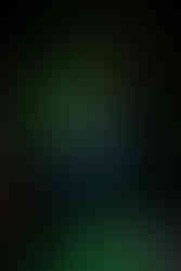 Lake of the Ozarks Wedding DJ