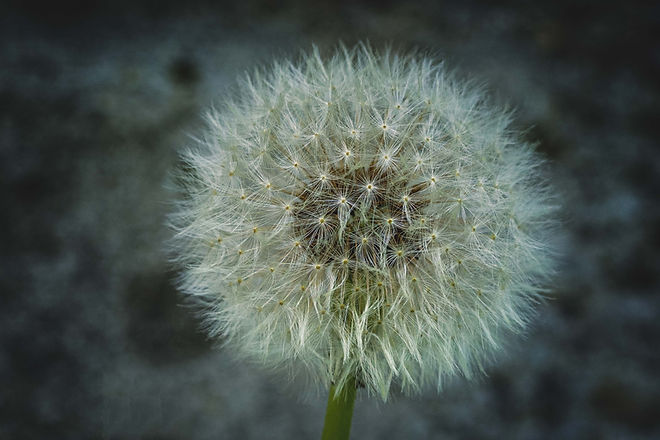 nc-photoart by Nathalie Cassagne--3.jpg