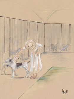 Hound Show