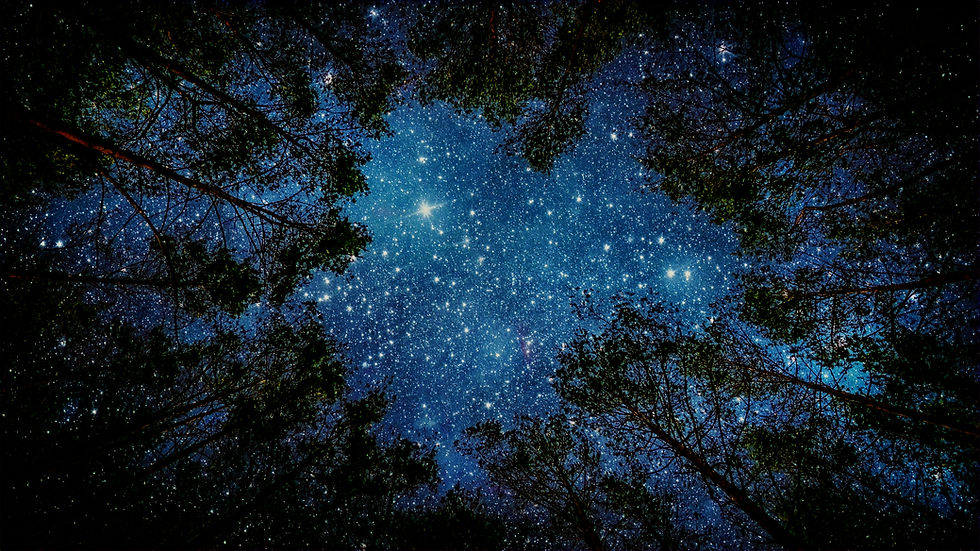Starry Night Background