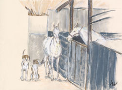 Stable Mates