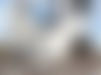 The World Trade Center Oculus