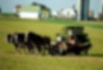 Thumbnail: Private Tour from New York to Amish Country - $1499.00