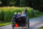 Three-Amish-Men-in-a-Cart-pulled-by-a-Horse-Family-in-New-York-Tours