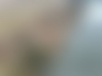 雄物川上流強首地区河道掘削外工事