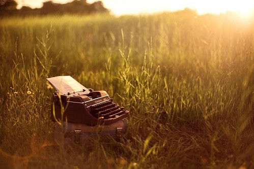 Travel Blogs
