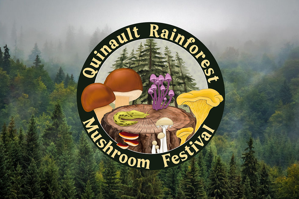 QRMF_banner001.jpg
