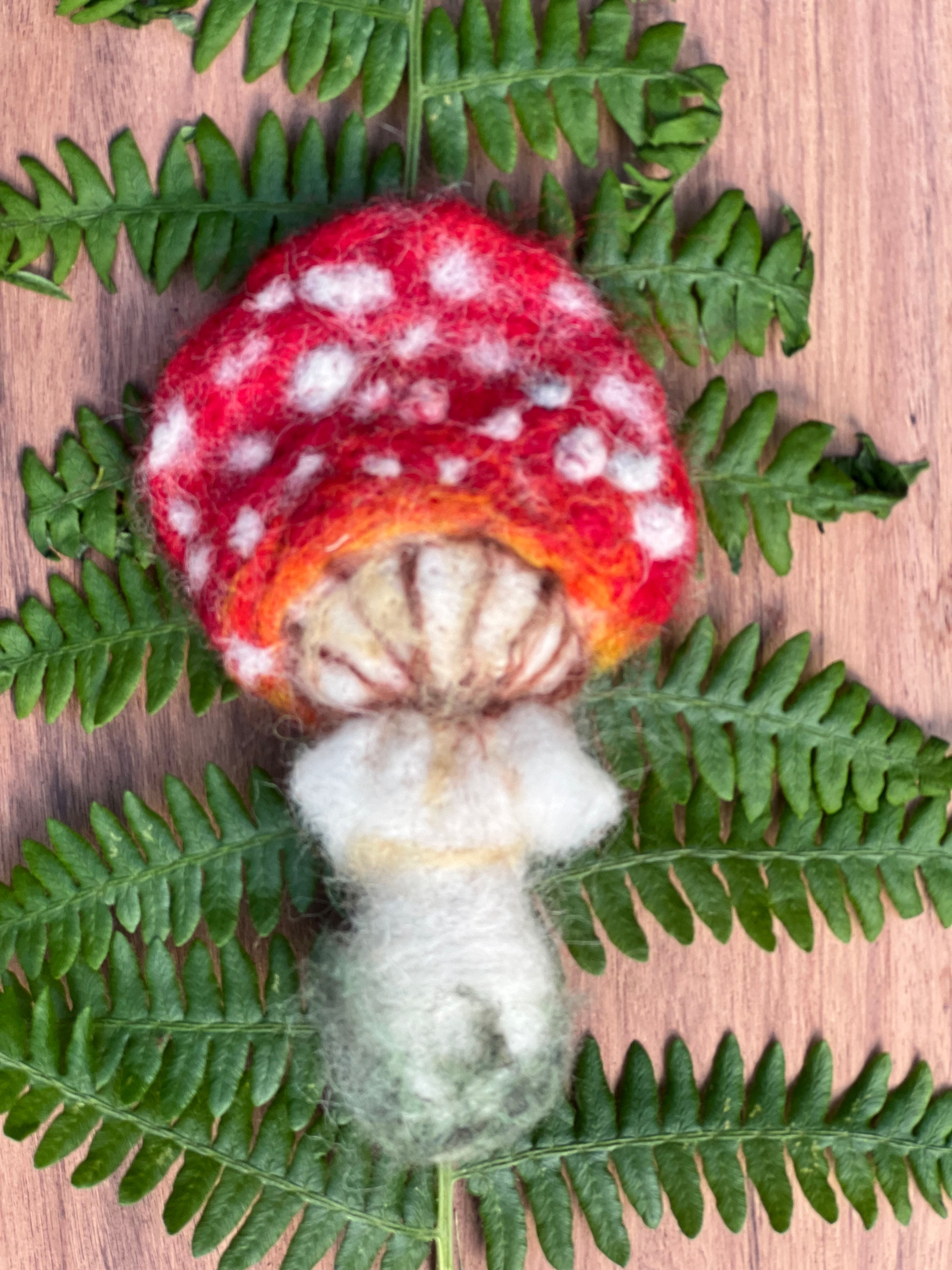 Make Wool Needle Felted Amanitas. Myco Robinson - October 3, 2026 1:00-3:00PM