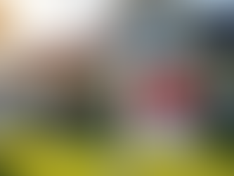 The Hidden Dangers: MLS Listing Fraud and Protecting Yourself from Seller Impersonation