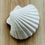 Thumbnail: Concha Clam Shell
