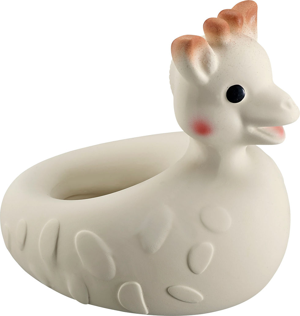 Thumbnail: So’Pure Bath Toy