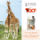 Thumbnail: SAVE THE GIRAFFES -  Sophie la girafe ® and FREE keyring
