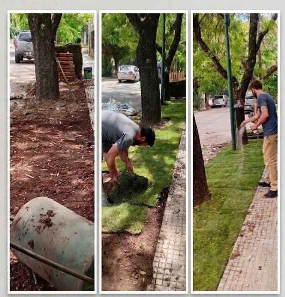 Profesionales brindando servicios de agronomía con césped.