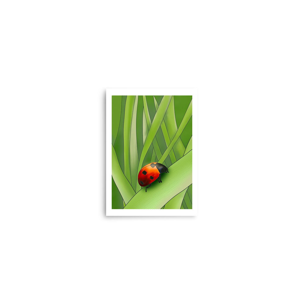 Thumbnail: Ladybug poster