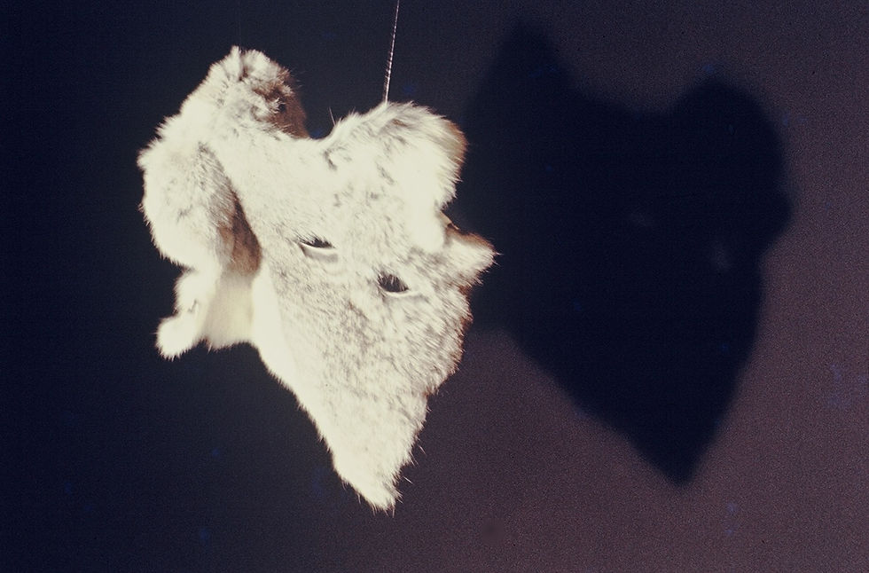 detail