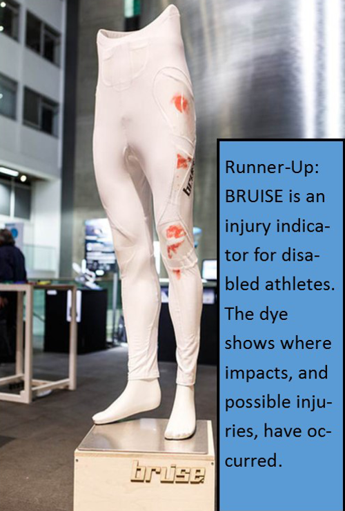 BRUISE with Text.png