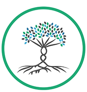 ColorTree_TransparentBackground (4).png