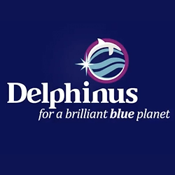 Delphinus