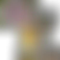 Prefeitura de Ijuí adere à mentoria da Rede Governança Brasil e fortalece práticas de governança pública