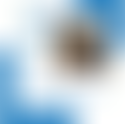 Governança e Controle: RGB Entrevista com Érika Lacet