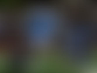 Better Late Than Never?