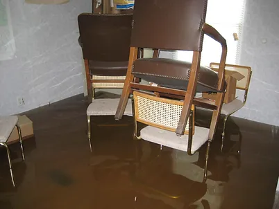 Flood Insurance.webp