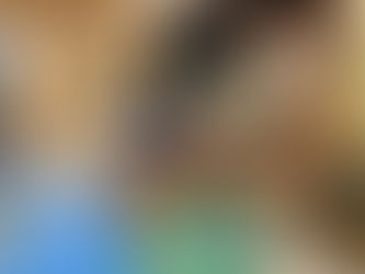 点数を取る勉強から解くことが面白い勉強へ ~学力から探究力へ~