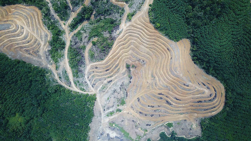 a27d24_ecff9399aa18449cb50e28ba3636820c_