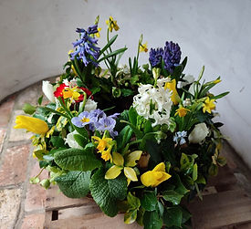 Funeral wreath made from living plants and bulbs