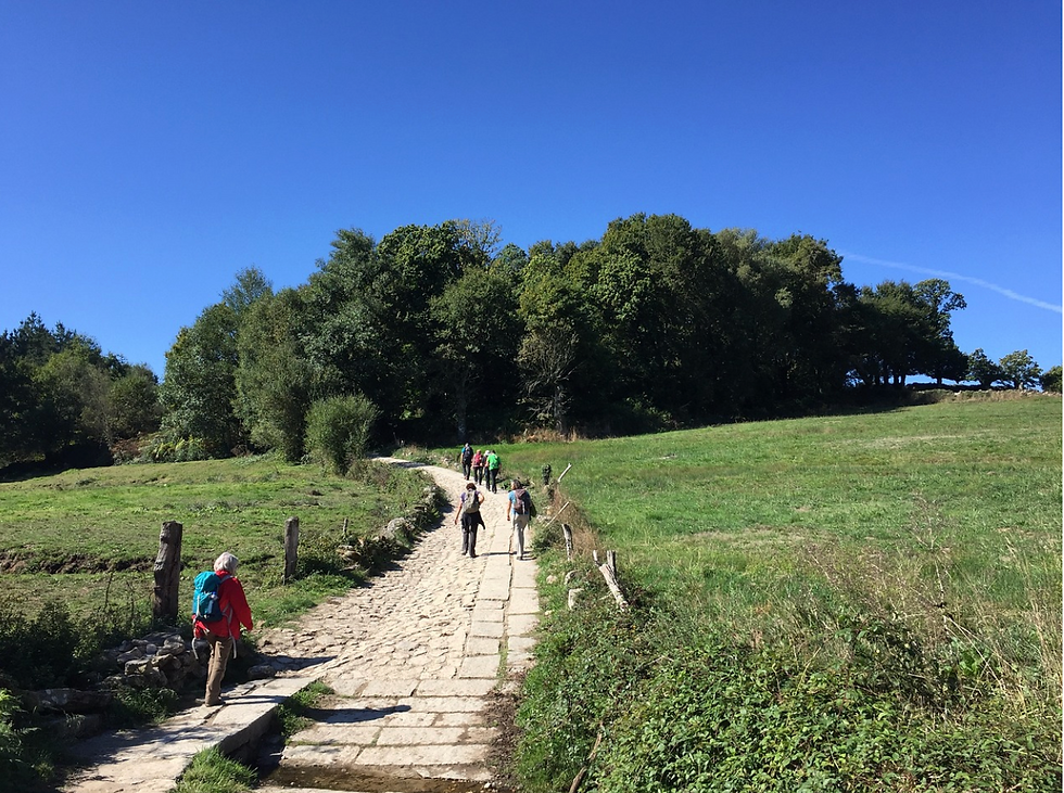 People Hiking Camino de Santiago