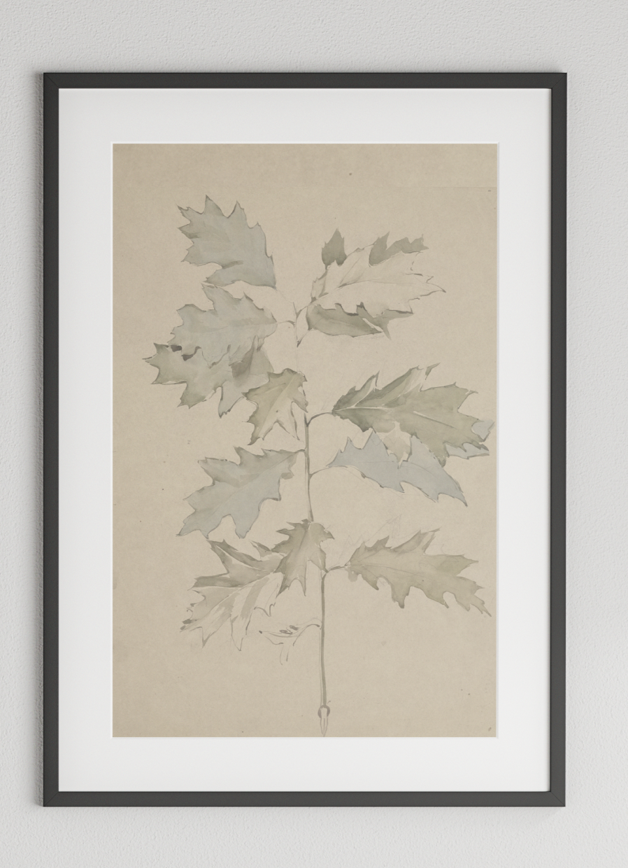 Miniature : Eikentak met loof (1869 - 1925)