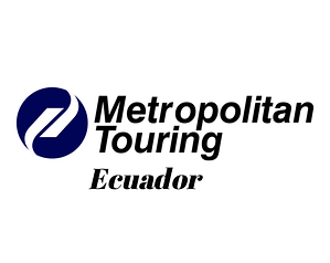 Logo Final DTM (5).png