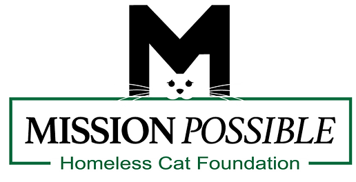 Mission-Possible-Logo_edited.png