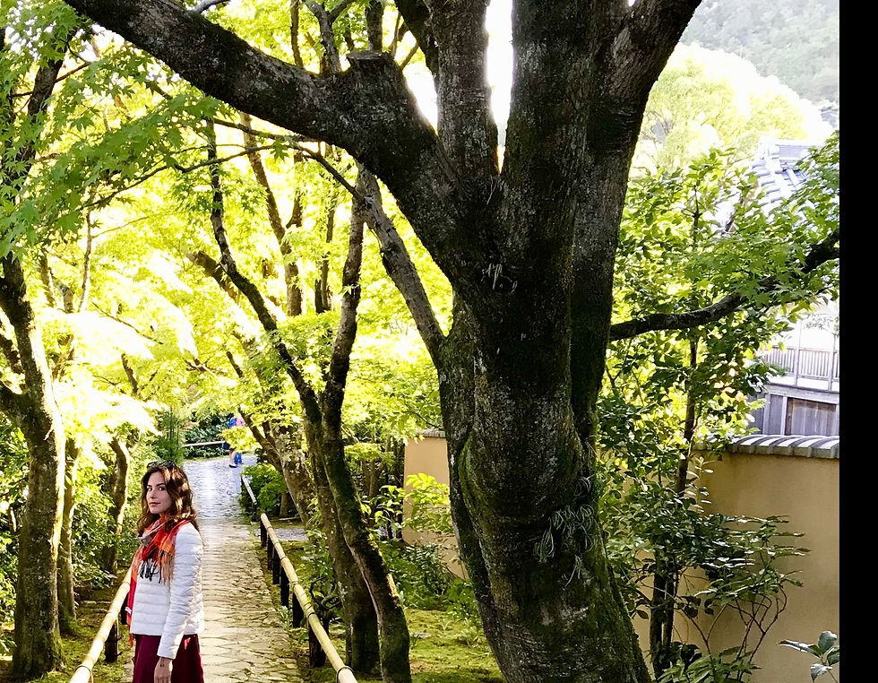 kyoto, japan