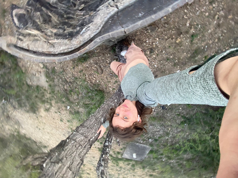 A Boost of Seratonin