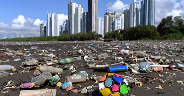 Dépollution marine Photo 4.jfif