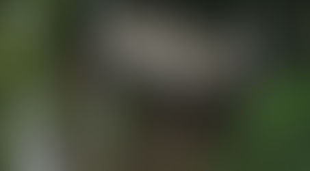 VIDEO/Të izoluara nga bota, ja si është jeta e grave në Amazonë