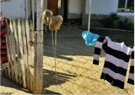 20-vjeçari shqiptar përdhunon të moshuarën pasi i kontrollon sahatin
