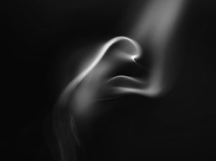 Heilung epigenetischer und seelischer Wunden