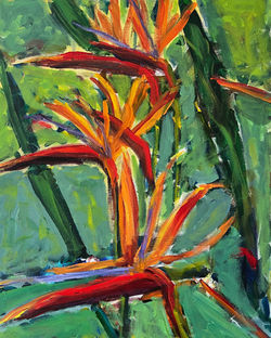 Paradise Birds