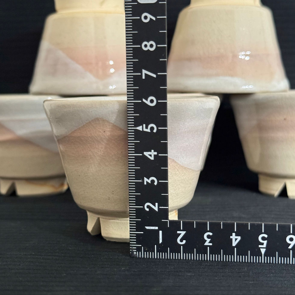 Thumbnail: B005)Hagi ware Tentyo tea cup(6 for €90,00)