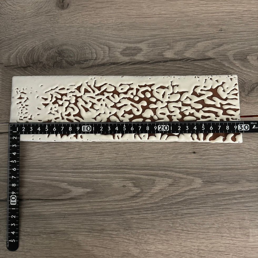 Thumbnail: E047)Hagi ware Akira Kawano flat plate,sushi plate (30cm*9cm)