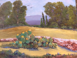 Linda Libby